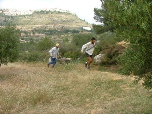 שומרה 025
