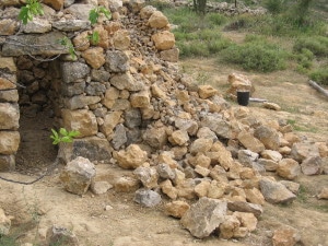 שומרה פורים06 100 (19)